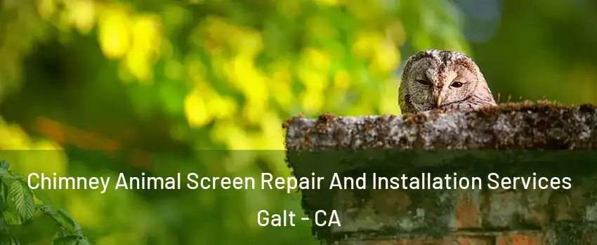  Chimney Animal Screen Repair And Installation Services Galt - CA