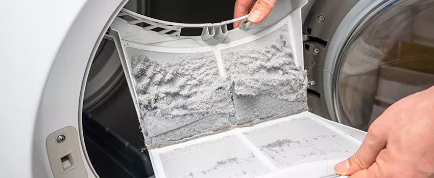 Best Dryer Lint Removal Company in Galt, California